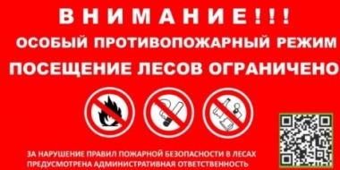 В шести районах Псковской области введен особый противопожарный режим - 2022-08-25 09:05:00 - 2
