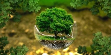 Ряд экологических акций пройдет в Псковской области - 2021-06-04 18:30:00 - 2