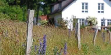 В России могут начать бесплатно раздавать землю - 2021-09-03 19:30:00 - 2