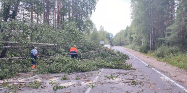 Без света в Псковской области остаются порядка 360 человек - 2023-08-10 12:05:00 - 2