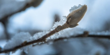 Жителей европейской части России ждет аномальное тепло - 2021-12-13 19:30:00 - 2