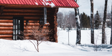 О дачных работах в марте рассказали россиянам - 2023-03-11 15:05:00 - 2