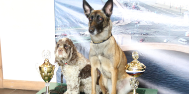 Кинологи из Псковской таможни стали лучшими на соревнованиях СЗФО - 2023-04-28 09:35:00 - 2