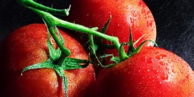 Урожай овощей в зимних теплицах в 2022 году достиг рекордных 1,5 млн тонн - 2023-01-05 15:00:00 - 2