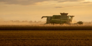 Аграрии производят достаточно продукции для покрытия внутреннего спроса - 2021-12-19 15:00:00 - 2