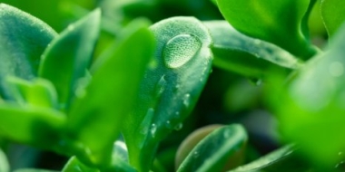 Российская молодежь посетит особо охраняемые природные территории - 2021-05-23 11:00:00 - 2