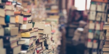 В Псковской области стартует акция по сбору книг для жителей Донбасса - 2022-08-30 13:35:00 - 2