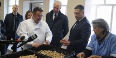 В сезон из Псковской области экспортируется около 500 тонн виноградной улитки - 2022-10-19 10:05:00 - 2