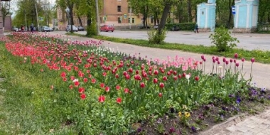 Великолукские клумбы готовят к высадке летних саженцев - 2022-05-17 17:35:00 - 2