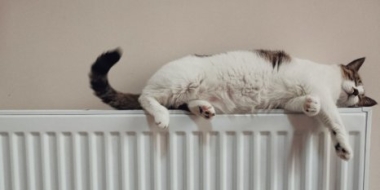 Российские регионы проверяют работу теплотрасс и котельных - 2021-10-23 13:00:00 - 2