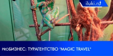 О работе туристической отрасли рассказывает новый выпуск «proБизнес» - 2021-11-22 20:00:00 - 2