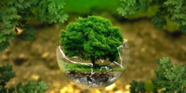 Детей Псковской области приглашают к участию в Премии Росприроднадзора - 2021-06-18 09:36:00 - 2