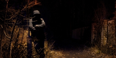 Двое жителей Новосокольников распилили и украли ворота - 2022-04-15 12:35:00 - 2