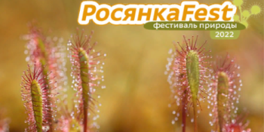 Ярмарка, мастер-классы и концерт ждут гостей Фестиваля «РосянкаFest» - 2022-08-11 16:05:00 - 2