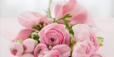 Администрация Великих Лук поздравляет горожан с Днём пожилых людей - 2021-10-01 09:58:00 - 2