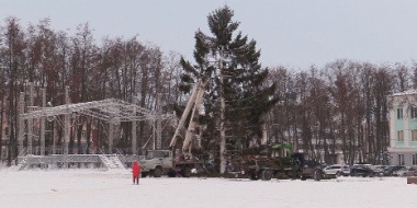 В Великие Луки приехала новогодняя ель - 2022-12-16 10:53:22 - 2