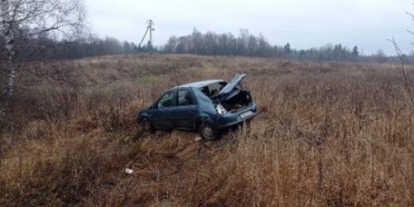Водитель получил травмы в результате ДТП в Великолукском районе - 2021-11-03 15:35:00 - 3