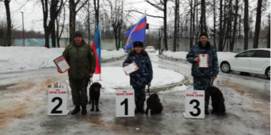 В Пскове прошли соревнования кинологов - 2023-03-16 09:35:00 - 2
