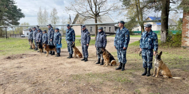 В УФСИН Псковской области выбрали лучших кинологов - 2024-05-03 16:35:00 - 2