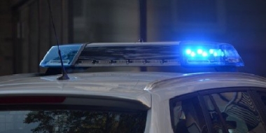 Установлены лица, совершившие хулиганство в псковском парке - 2021-10-04 17:35:00 - 2