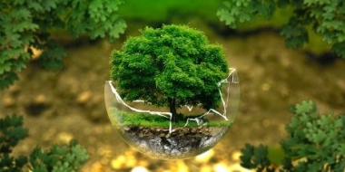 В России стартовала акция #выбираючистыйвоздух - 2022-06-19 13:05:00 - 2