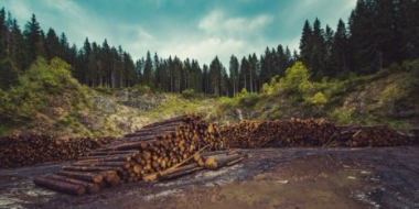 В России хотят создать аналог зарубежной биржи природных ресурсов - 2022-07-17 15:00:00 - 2