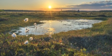 В Великих Луках открывается фотовыставка «Тайна верхового болота» - 2022-10-11 11:35:00 - 2