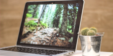 В России стало слишком много непроданных ноутбуков - 2023-02-13 18:05:00 - 2