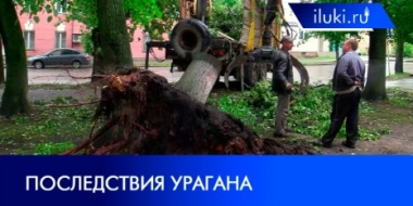 Псковская область продолжает восстанавливаться после урагана - 2021-07-05 20:00:00 - 2