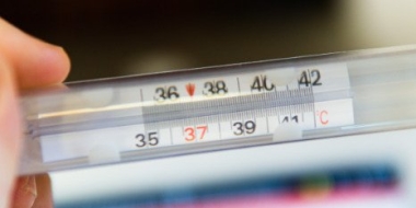 Роспотребнадзор рассказал о распространении свиного гриппа по стране - 2022-12-20 19:30:00 - 2