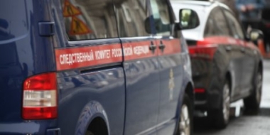 В Невеле мужчина подозревается в убийстве случайного встречного - 2021-07-29 09:35:00 - 2