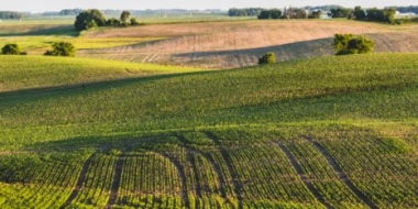 Минсельхоз стремится снизить дефицит кадров в агропромышленности - 2021-10-02 14:00:00 - 2