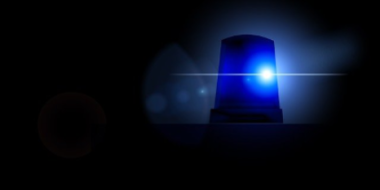 В Бежаницах по «горячим следам» раскрыто разбойное нападение - 2021-04-19 17:36:00 - 2