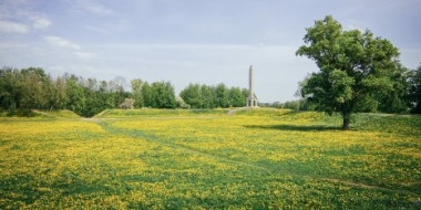 В Великие Луки наконец-то пришла весна - 2021-05-18 13:45:00 - 2