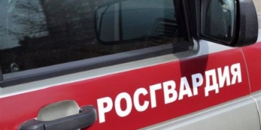 В Великих Луках росгвардейцы задержали подозреваемого в краже - 2022-12-28 12:35:00 - 2