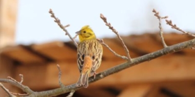 Полистовский заповедник подвел итоги фотоконкурса «Пернатые в объективе» - 2021-05-11 10:13:00 - 2