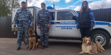 В Островском районе служебные собаки нашли заблудившегося в лесу пенсионера - 2023-05-10 09:05:00 - 2