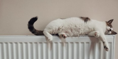 Расходы на цифровизацию ЖКХ хотят включить в плату за воду и тепло - 2022-07-26 18:30:00 - 2