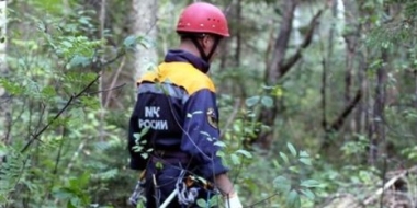 Псковские спасатели вывели из леса заблудившуюся женщину - 2021-08-24 09:38:00 - 2