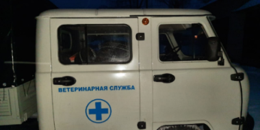 В региональную ветслужбу поступила дезинфекционная установка - 2021-12-27 10:35:00 - 2