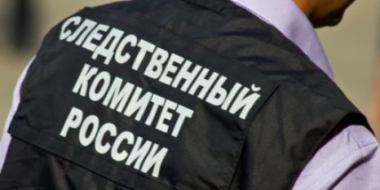 В Пскове завершено расследование дела об убийстве новорожденного ребенка - 2021-12-30 13:35:00 - 2