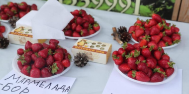 Почти 4 тонны ягод собрали на земляничной ферме в Бежаницком районе - 2023-07-12 14:05:00 - 2