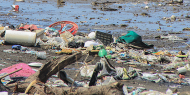 Россияне считают мусор главной угрозой миру - 2023-03-26 11:00:00 - 2