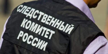 В Пскове следователи устанавливают личность напавшего на ребенка - 2023-01-09 15:05:00 - 2