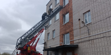 Псковские росгвардейцы и сотрудники МЧС провели противопожарные учения - 2024-04-18 13:35:00 - 2