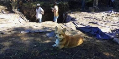 В Новосокольническом районе выбирают лучший проект археологического парка - 2023-03-02 14:35:00 - 2