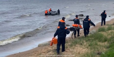 В Гдовском районе провели учения по обеспечению безопасности на воде - 2022-06-04 12:00:00 - 2