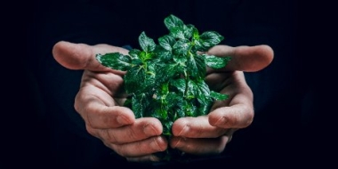 Всемирный день окружающей среды будет отмечаться в России 5 июня - 2022-06-04 15:00:00 - 2