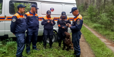 Спасатели нашли заблудившуюся семейную пару в Палкинском районе - 2023-08-03 16:05:00 - 2