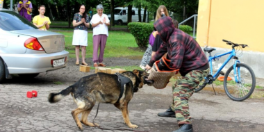 В Пскове открылся лагерь труда и отдыха «Юный спецназовец» - 2024-06-04 12:05:00 - 2
